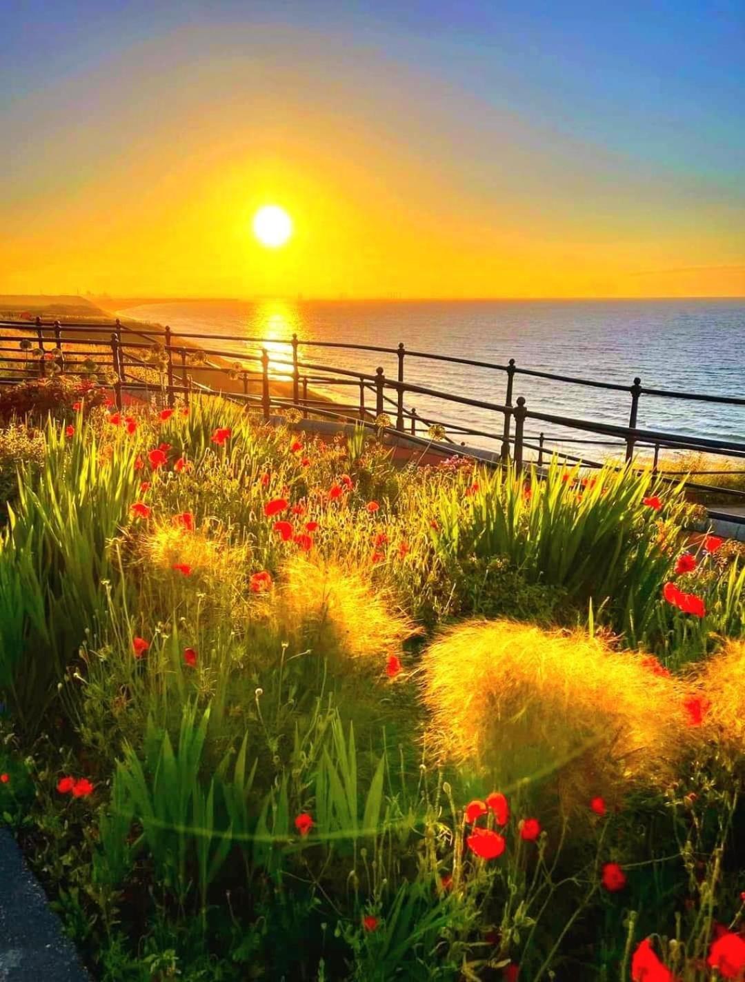 Captain'S Deck Beach Balcony Perfectlysaltburn エクステリア 写真